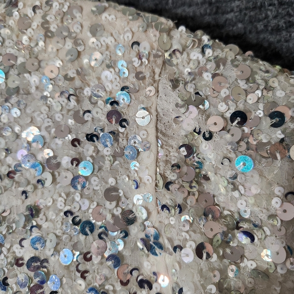 Retrofête Sequin Plunge Neckline Jumpsuit Size S - Picture 16 of 16